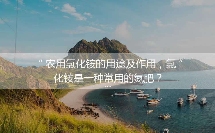 農(nóng)用氯化銨的用途及作用，氯化銨是一種常用的氮肥？