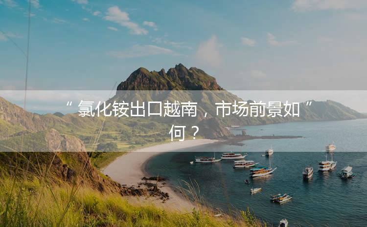氯化銨出口越南，市場(chǎng)前景如何？